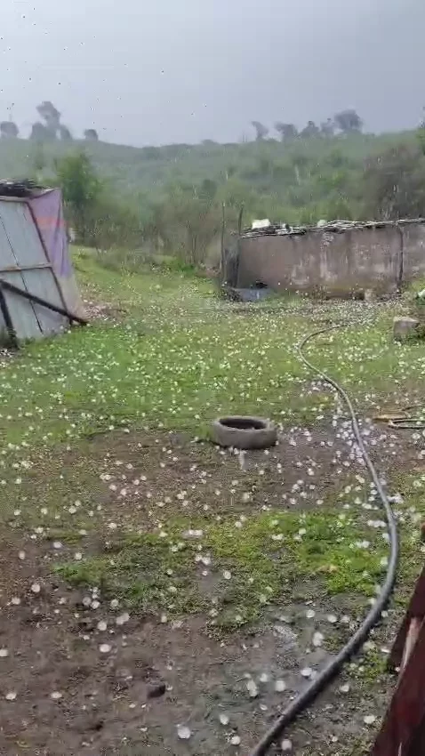 WhatsApp Video 2026-10-22 at 13.44.07